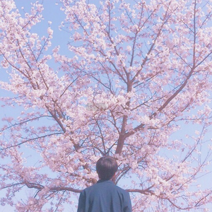 日本男男Gay FuCK激情
